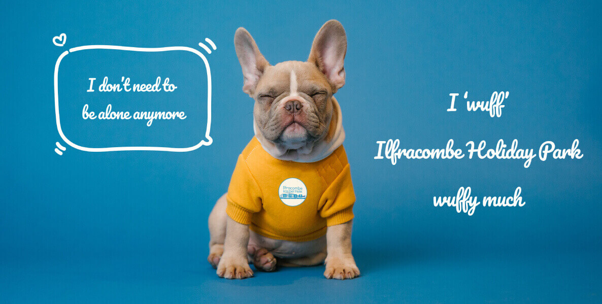 Ilfracombe-Holiday-Park-Dog-Friendly-Accomodation-Article (1) (1)